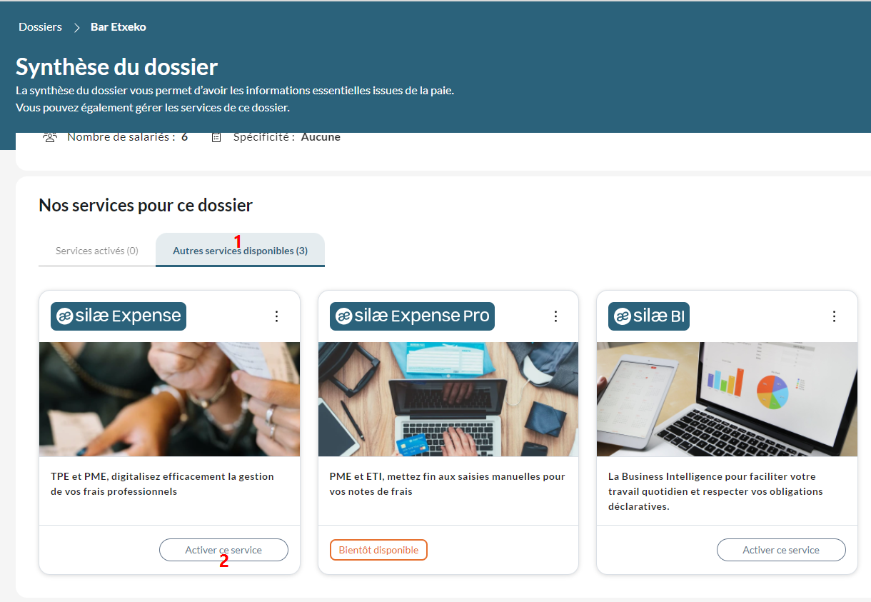 ActiverSyntheseDossier